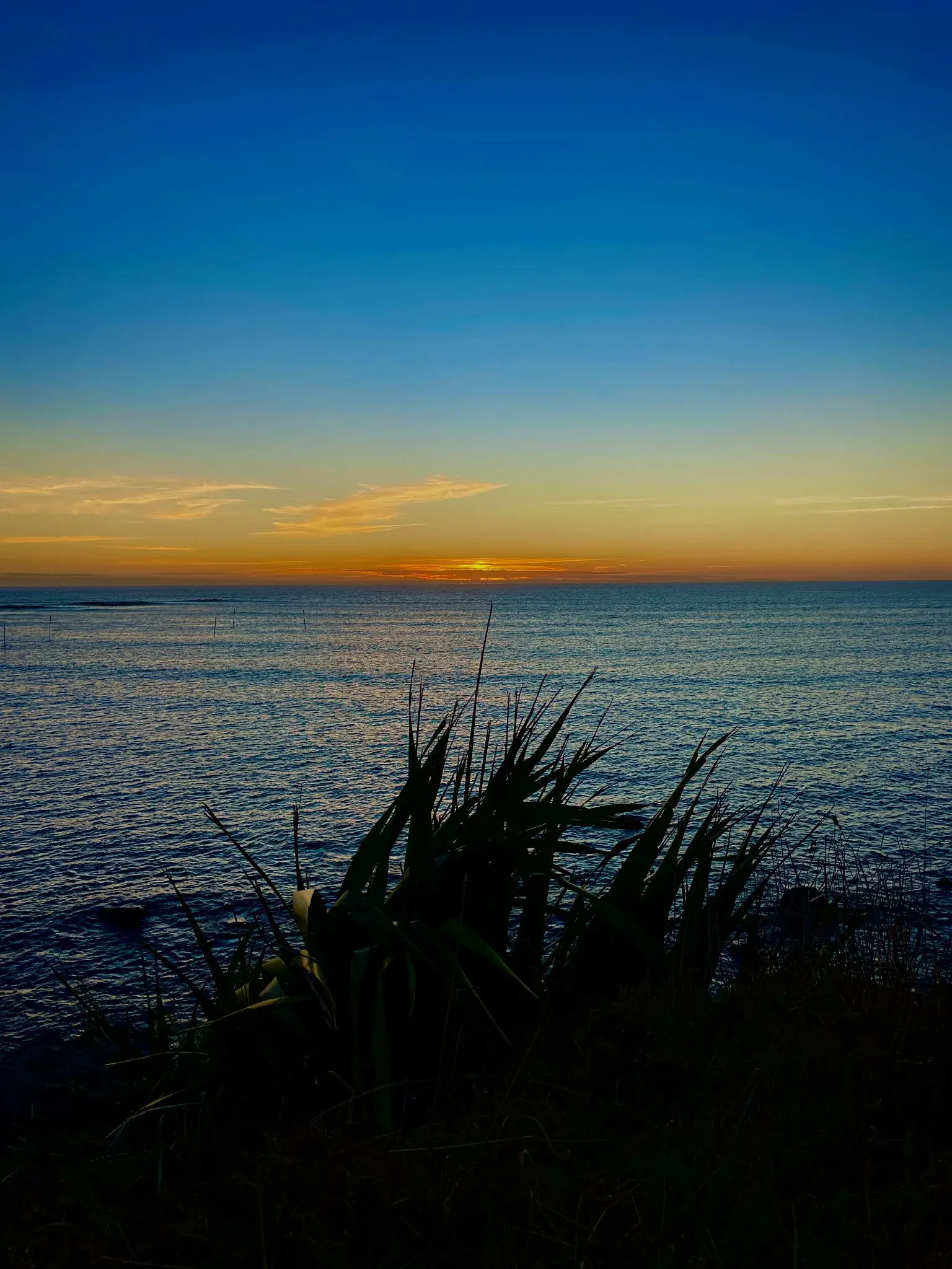 Twilight light over the water on the Tasman coast