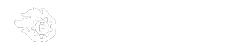 Forge Aotearoa