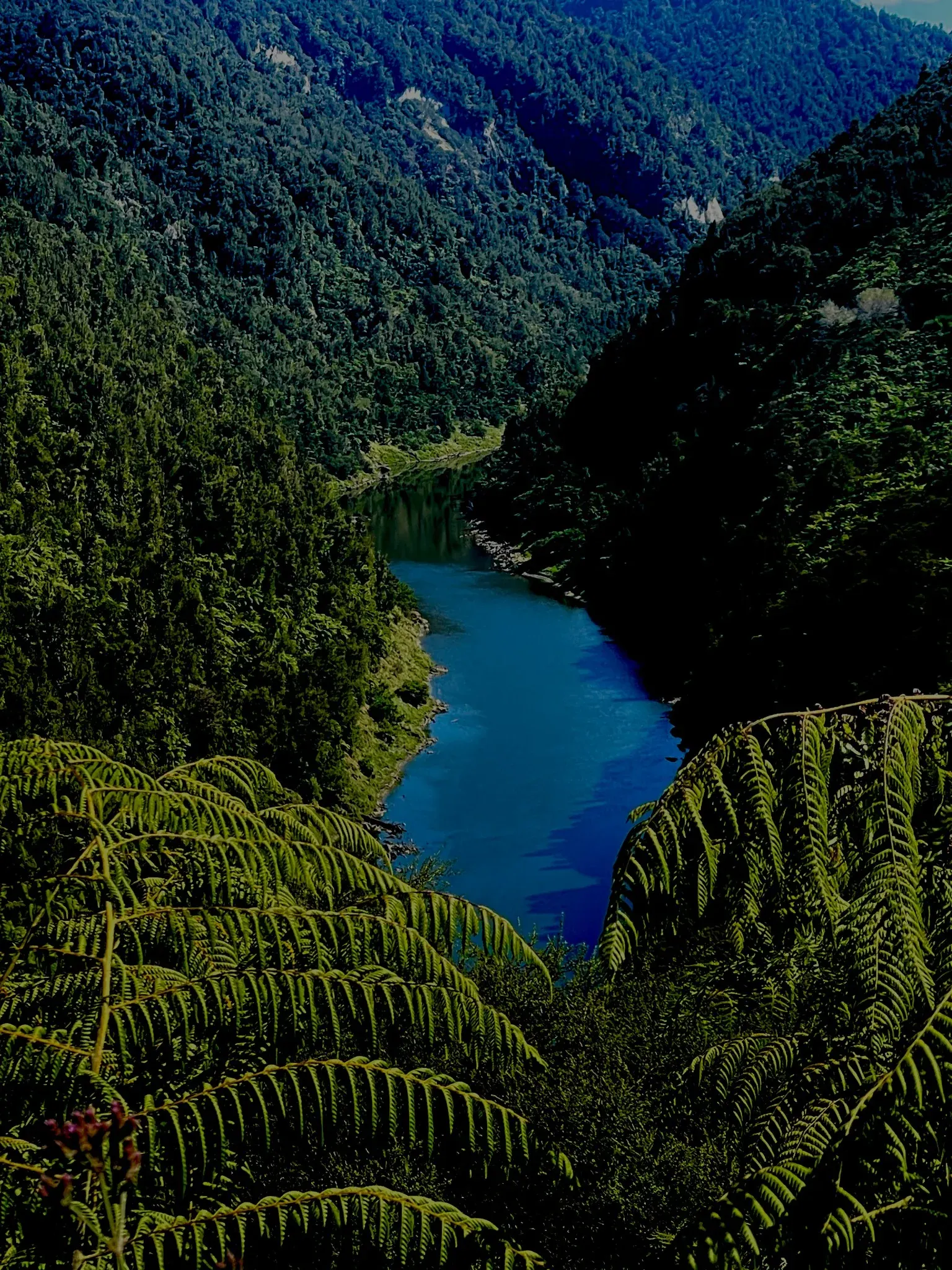 Sacred Waters, the North Island Pilgrimage